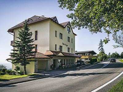 Villa Krejza in summer